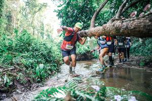 BIB: 
                            <button type="button" onclick="openModal(25474103)" class="btn btn-primary btn-sm float-right btn-popup" data-toggle="modal" data-target=".modal-high-quality">
                        <i class="fas fa-shopping-cart"></i> Add to Cart
                    </button>
                                            <button type="button" onclick="isThisMe(25474103, true)" class="btn btn-success btn-sm float-right btn-popup btn-isme hidden" data-toggle="tooltip" data-placement="bottom" title="นี่คือรูปของคุณใช่ไหม คลิกที่นี่เพื่อเอาเข้าอัลบั้ม">
                        <i class="fas fa-plus"></i> Add to album
                    </button>
                    <button type="button" onclick="isThisMe(25474103, false)" class="btn btn-warning btn-sm float-right btn-popup btn-isnotme hidden">
                        <i class="fas fa-ban"></i> Remove from album
                    </button>